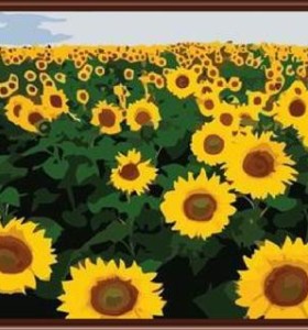 SGS CE yiwu manufactor hand painted DIY digital oil painting by numbers sunflower design