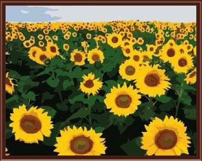 SGS CE yiwu manufactor hand painted DIY digital oil painting by numbers sunflower design