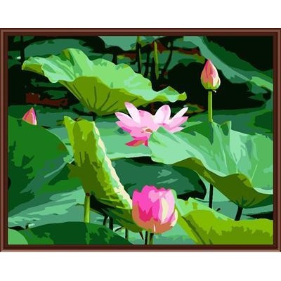 Factory price diy oil paint by number on canvas 2015 paintboy new flower design GX6125