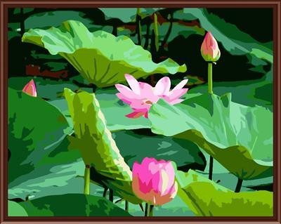 Factory price diy oil paint by number on canvas 2015 paintboy new flower design GX6125