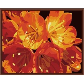 Lona pintura al óleo del arte de diy pintura al óleo por números pinturas abstractas flores pintura por número GX6188