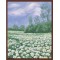 canvas painting by numbers flower picture oil painting 2015 new hot photo GX6374