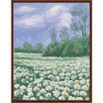 flower picture painting on canvas ,oil painting by numbers ,canvas oil painting GX6374