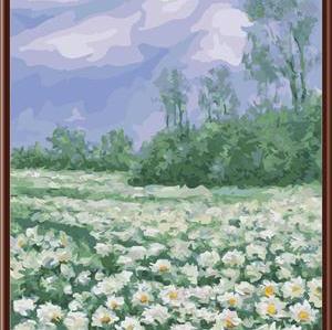 flower picture painting on canvas ,oil painting by numbers ,canvas oil painting GX6374