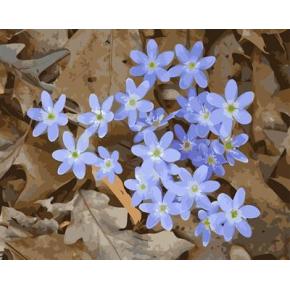 Handmaded Öl malen nach zahlen abstrakte blumen-design paintng auf leinwand