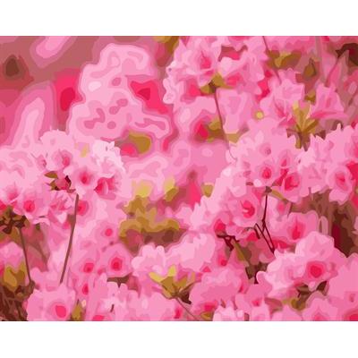abstracto pintura digital por los números con la flor imagen gx6653