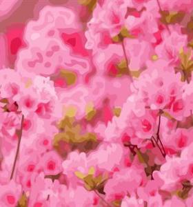 abstracto pintura digital por los números con la flor imagen gx6653