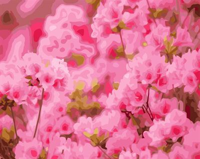 abstract digital painting by numbers with flower picture GX6653