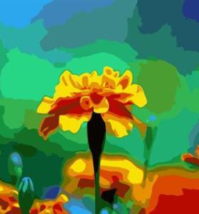 abstract digital painting by numbers GX6665 flower picture still life painting