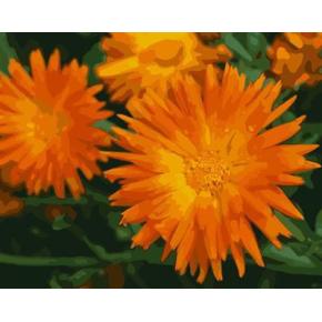gx6628 abstrakte leinwand gemälde mit blumen Bilder kreative Tätigkeit setzt malen nach zahlen