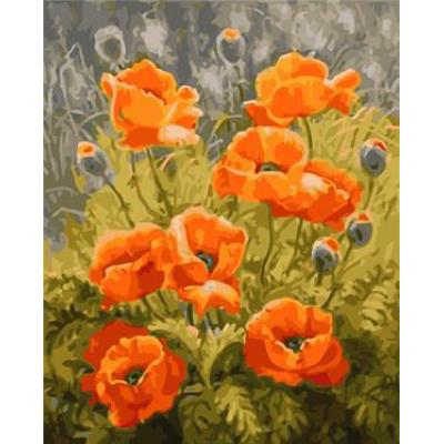 canvas oil painting by numbers with flower picture new design 2015 GX6741