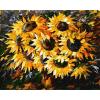 abstract oil painting by number 2015 factory hot selling picture GX6783 sunflower design
