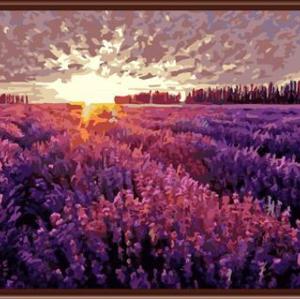 GX6812 paint by number 2015 canvas oil painting with flower picture