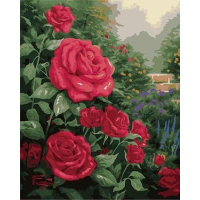modern oil painting by numbers on canvae naturel flower picture GX6902