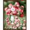 modern oil painting by numbers on canvae flower picture GX6860