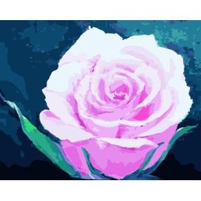 la vida sigue flor color de rosa de la foto foto canvs aceite de pintura por número gx6674