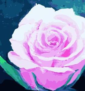 la vida sigue flor color de rosa de la foto foto canvs aceite de pintura por número gx6674