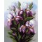 diy painting by numbers flower picture artist oil color set for beginners GX7074