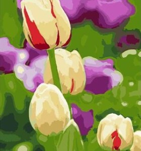 Pintura diy by números con imagen de la flor de aceite artista conjunto de colores para principiantes GX7062