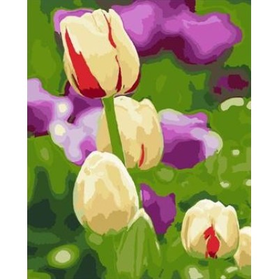 diy painting by numbers with flower picture artist oil color set for beginners GX7062