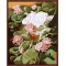 GX6824 flower design painting on canvas diy paint by numbers