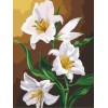 canvas art set diy oil painting by numbers with flower picture for home decor GX7218