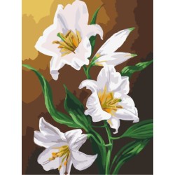 Arte de la lona set diy pintura al óleo by números con imagen de la flor de la decoración del hogar GX7218