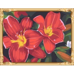 gx7262 2015 neue blume Bild leinwand Öl malen nach zahlen bausatz anfänger