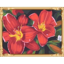 GX7262 2015 new flower picture canvas oil paint by numbers kit for beginners