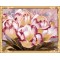 GX7261 2015 new flower picture canvas oil paint by numbers kit for beginners