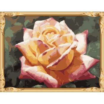 picture by numbers abstract flower oil painting with wooden frame GX7301