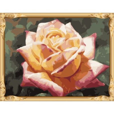picture by numbers abstract flower oil painting with wooden frame GX7301