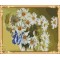 hot selling flower daisy painting by numbers on canvas for wholesales GX7349