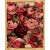 diy wall art rose paint by number flowers GX7524