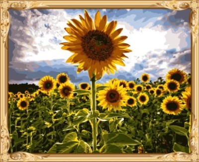 GX7451 sunflower digita oil painting for home decor