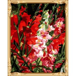 Gx7484 aceite pintura de la flor by números