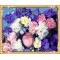 wall art paint by number flower oil painting for home decor GX7574