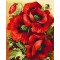 GX7662 diy canvas painting by numbers flower oil art