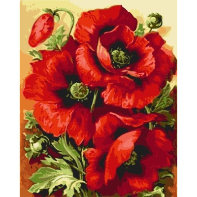 GX7662 diy canvas painting by numbers flower oil art