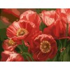 GX 7650 2015 hot flower photo acrylic painting for beginners