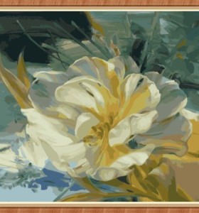 40 x 50 cm flor paintboy diy pintura al óleo by números kit GX7787