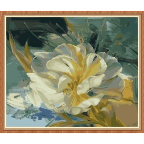 40x50cm blume paintboy diy Öl malen nach zahlen kit gx7787