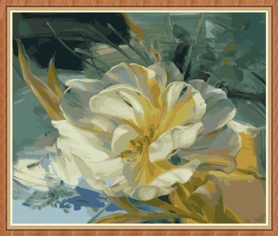 40x50cm flower paintboy diy oil painting by numbers kit GX7787