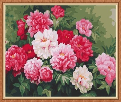 flower painting by numbers GX7857