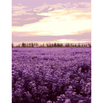 Gx7942 blume lavendel Ölgemälde nach zahlen für wand-dekor