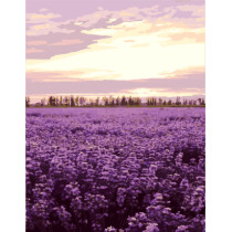 GX7942 flower lavender oil painting picture by numbers for wall decor