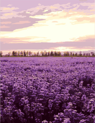 GX7942 flower lavender oil painting picture by numbers for wall decor