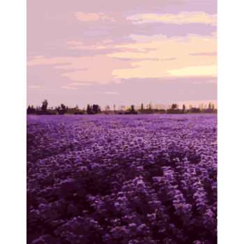 GX7941 flower oil painting picture by numbers for wall decor