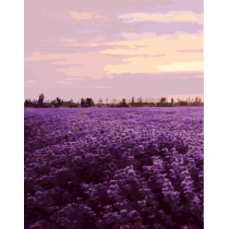 GX7941 flower oil painting picture by numbers for wall decor