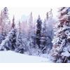 GX6605 yiwu factory abstract naturel landscape canvas oil painting snow forest design